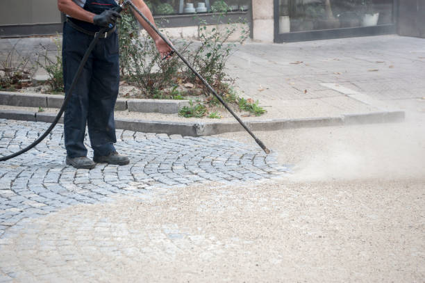 Best Driveway Pressure Washing  in Rio Grande, NJ